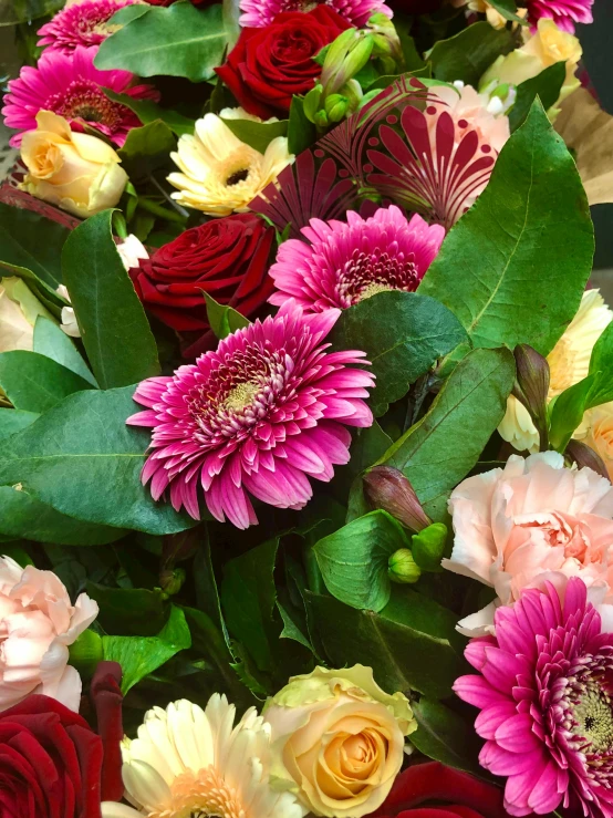 a bouquet of flowers sitting on top of a table, vibrant foliage, middle close up, crisp detail, cheery