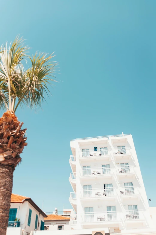 a palm tree in front of a white building, unsplash, modernism, multiple stories, vacation photo, graphic print, ::