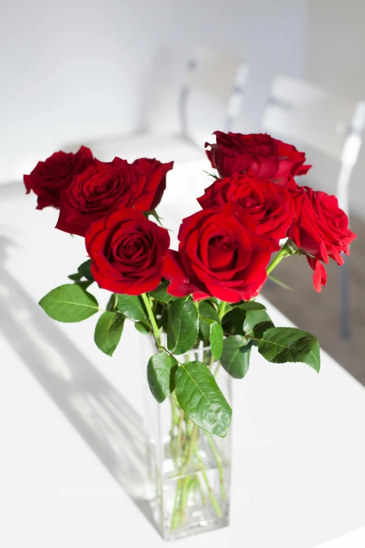 a vase filled with red roses sitting on a table, sleek, close together, with inspiring feeling, velvety