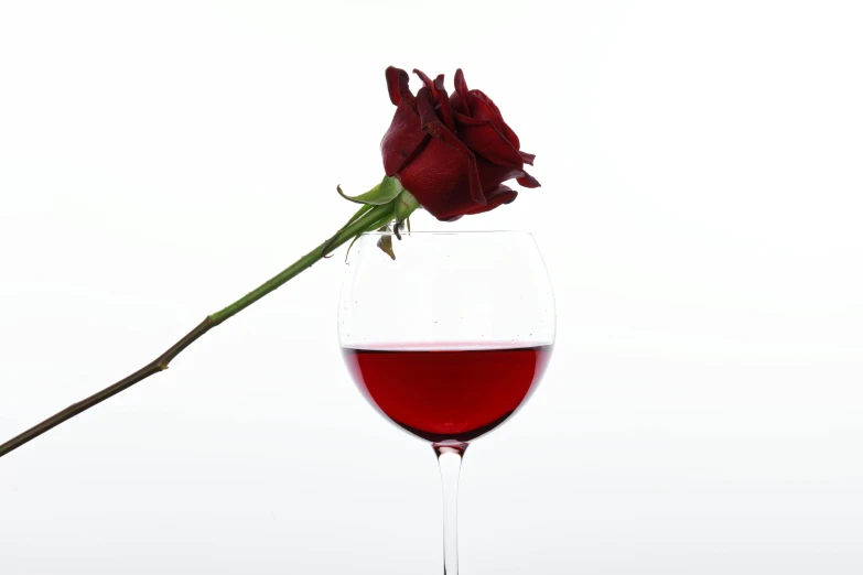 a single rose sitting in a wine glass, with a drink, maroon red, promo image, with a white background