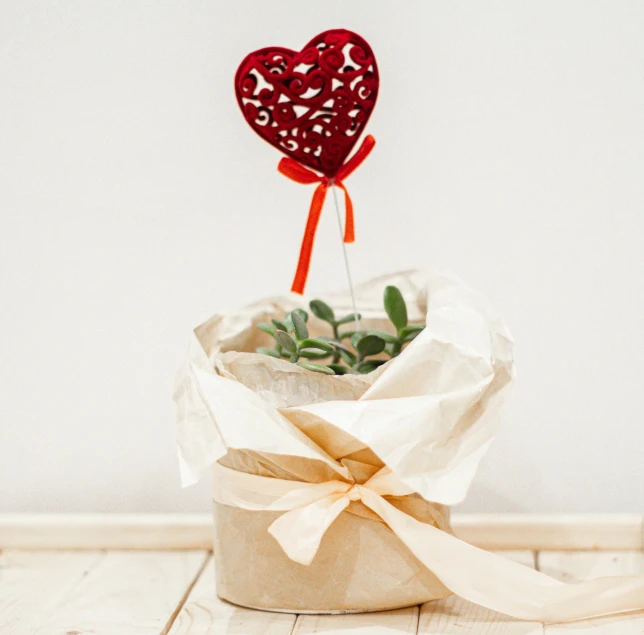 a heart shaped planter sitting on top of a wooden table, by Emma Andijewska, pexels contest winner, figuration libre, paper cut out, ribbon, with a white background, olive green and venetian red