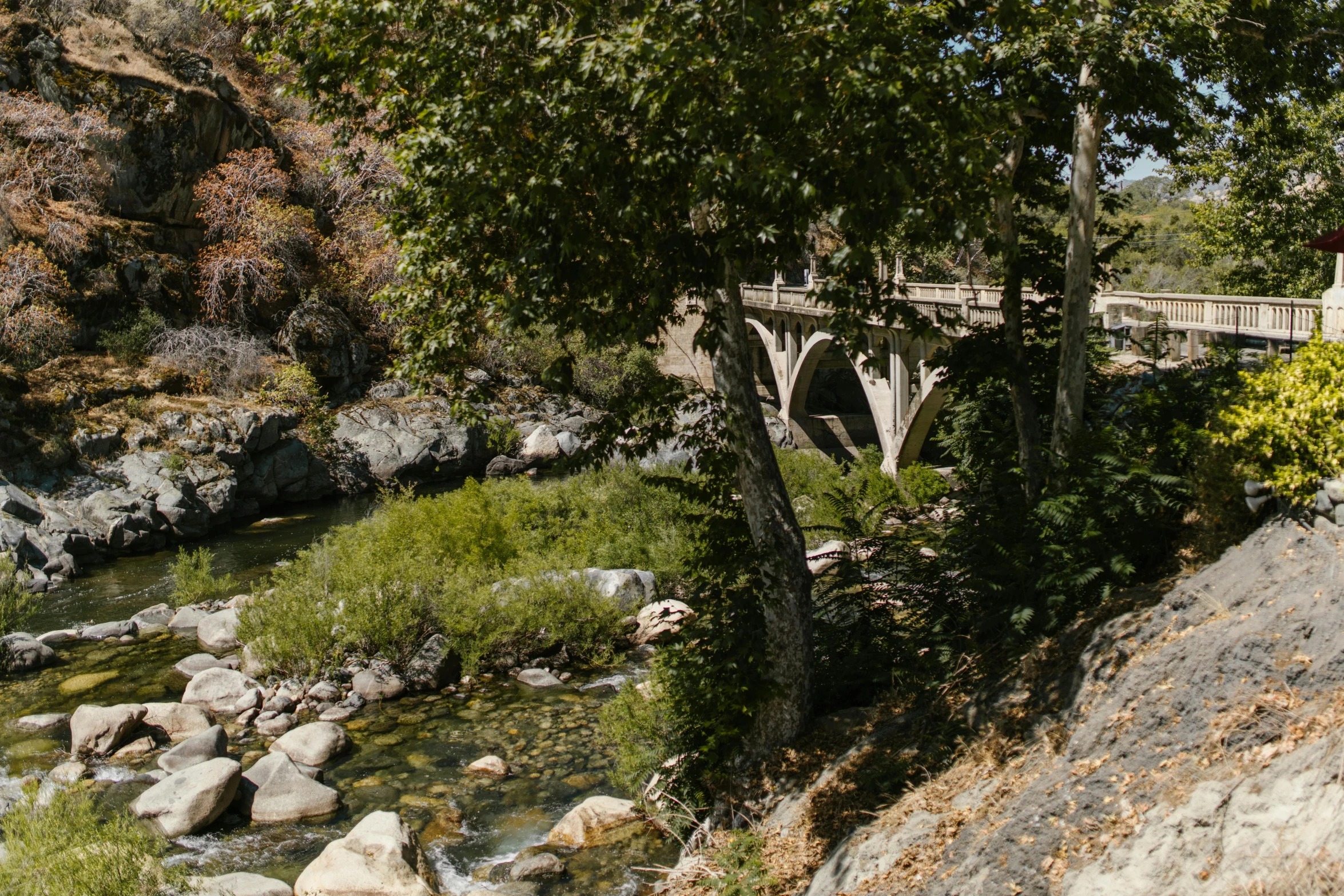 a train traveling over a bridge over a river, unsplash, renaissance, malibu canyon, shaded, trees bent over river, grain”