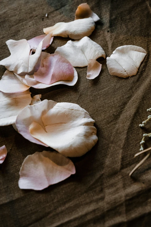 a close up of a bunch of flowers on a table, a still life, inspired by Marià Fortuny, trending on unsplash, renaissance, perky woman made of petals, dried leaves, linen canvas, rose petals