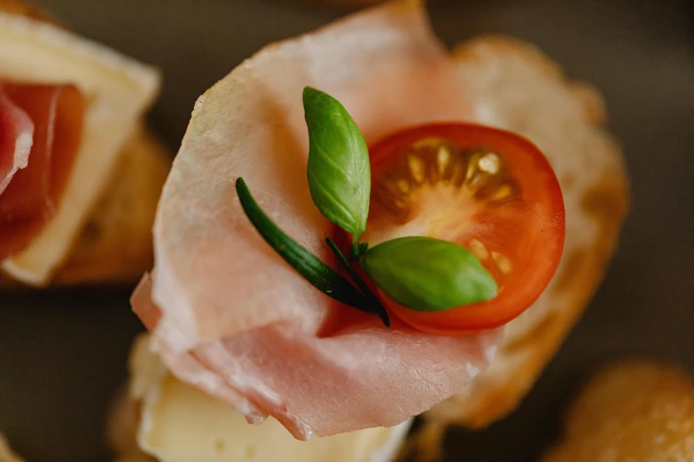 a close up of a plate of food on a table, trending on pexels, art nouveau, also one tomato slice, thumbnail, sandwich, teaser