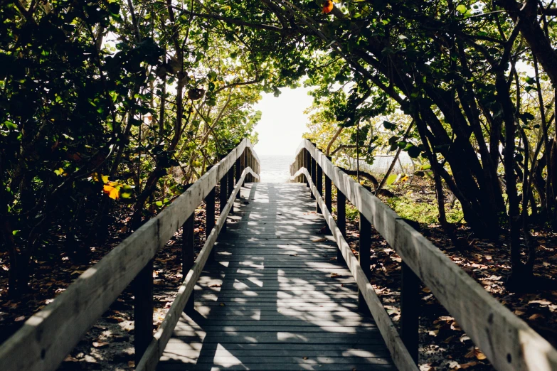 a wooden walkway surrounded by trees on a sunny day, unsplash, visual art, miami beach, instagram photo, instagram picture, australian beach