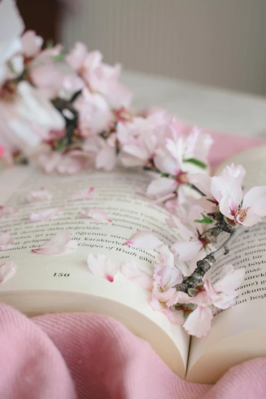 an open book sitting on top of a pink blanket, a picture, by Lucette Barker, trending on unsplash, romanticism, flowing sakura silk, detail shot, modeled, manuka