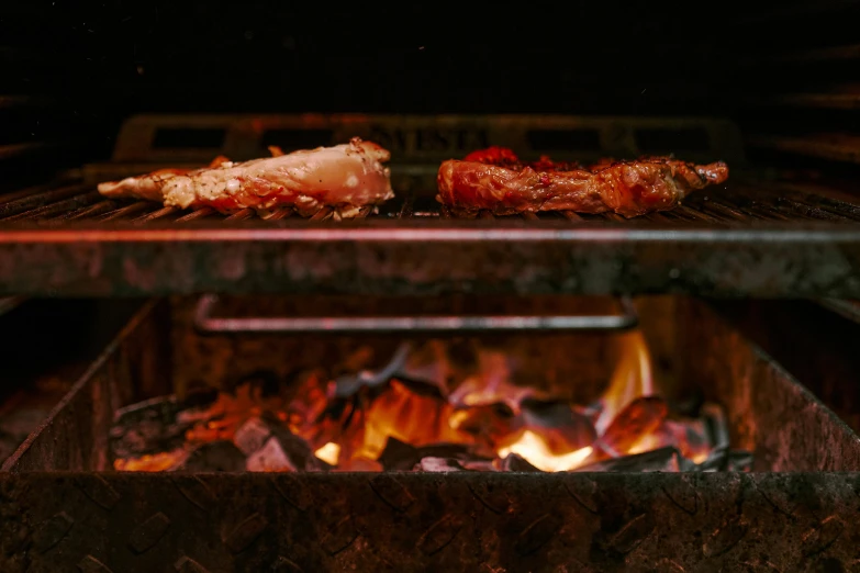 a close up of meat cooking on a grill, by Niko Henrichon, pexels contest winner, renaissance, irori fireplace, rectangle, bear legs, 15081959 21121991 01012000 4k