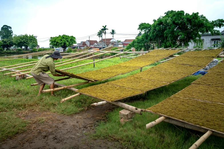 a man that is standing in the grass, by Daniel Lieske, land art, do hoang tuong artwork, hydroponic farms, tiled roofs, thumbnail