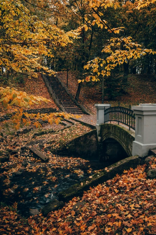 a bridge over a stream in the middle of a forest, inspired by Elsa Bleda, unsplash contest winner, renaissance, autumn leaves on the ground, saint petersburg, 8k resolution”, mini amphitheatre