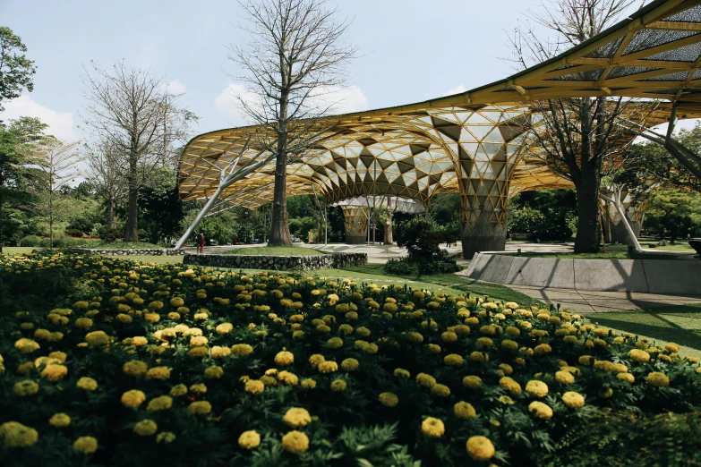 a bunch of yellow flowers that are in the grass, an album cover, inspired by Zha Shibiao, pexels contest winner, visual art, geodesic architecture, curved trees, singapore esplanade, covered outdoor stage