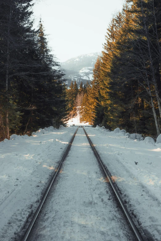 a train track in the middle of a snowy forest, an album cover, unsplash contest winner, british columbia, 🚿🗝📝, 🌲🌌, pristine and clean