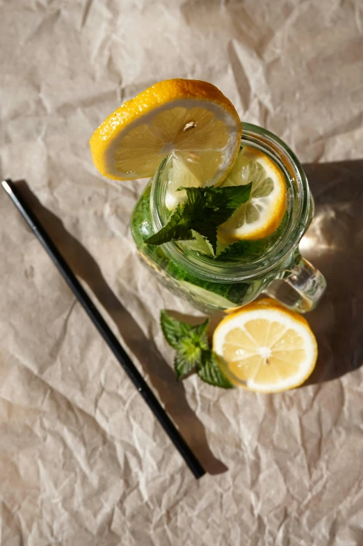 a glass of water with lemon slices and mint leaves, a picture, by Matthias Stom, trending on pexels, renaissance, with a straw, high angle, lemon demon, made of liquid