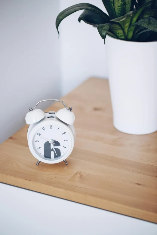 an alarm clock sitting on a table next to a potted plant, by Paul Bird, happening, mini figure, on wooden table, product photo, bells