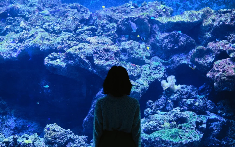 a person standing in front of a large aquarium, an album cover, pexels contest winner, sachiko miyazaki, 2 5 6 x 2 5 6 pixels, reefs, her back is to us