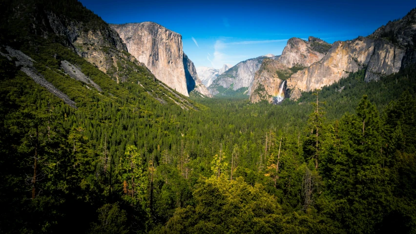 yosemite national park, yosemite national park, yosemite national park, yosemite national park, yosemite national, by Randall Schmit, pexels contest winner, lush forest in valley below, slide show, on a bright day, a wooden