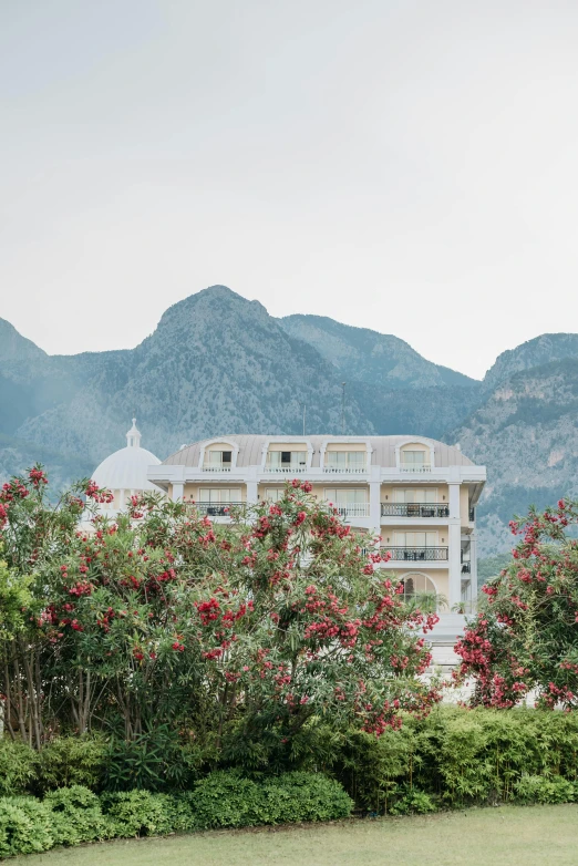 a couple of people standing on top of a lush green field, white marble buildings, grand majestic mountains, red roses at the top, hotel