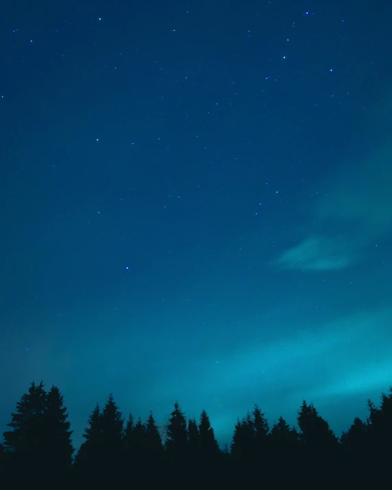 a forest filled with lots of trees under a blue sky, an album cover, by Julia Pishtar, pexels contest winner, hurufiyya, antartic night, teal aesthetic, multiple lights, nordic forest colors