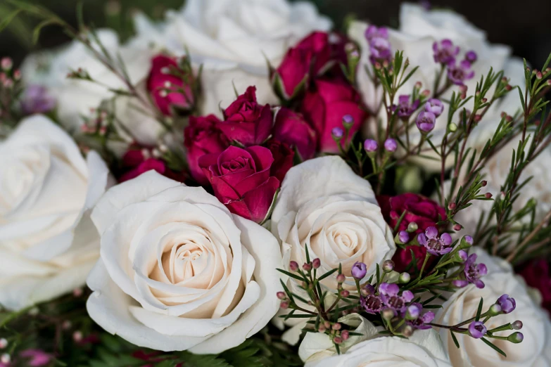 a close up of a bouquet of flowers, white and red roses, pinks, zoomed in, comforting
