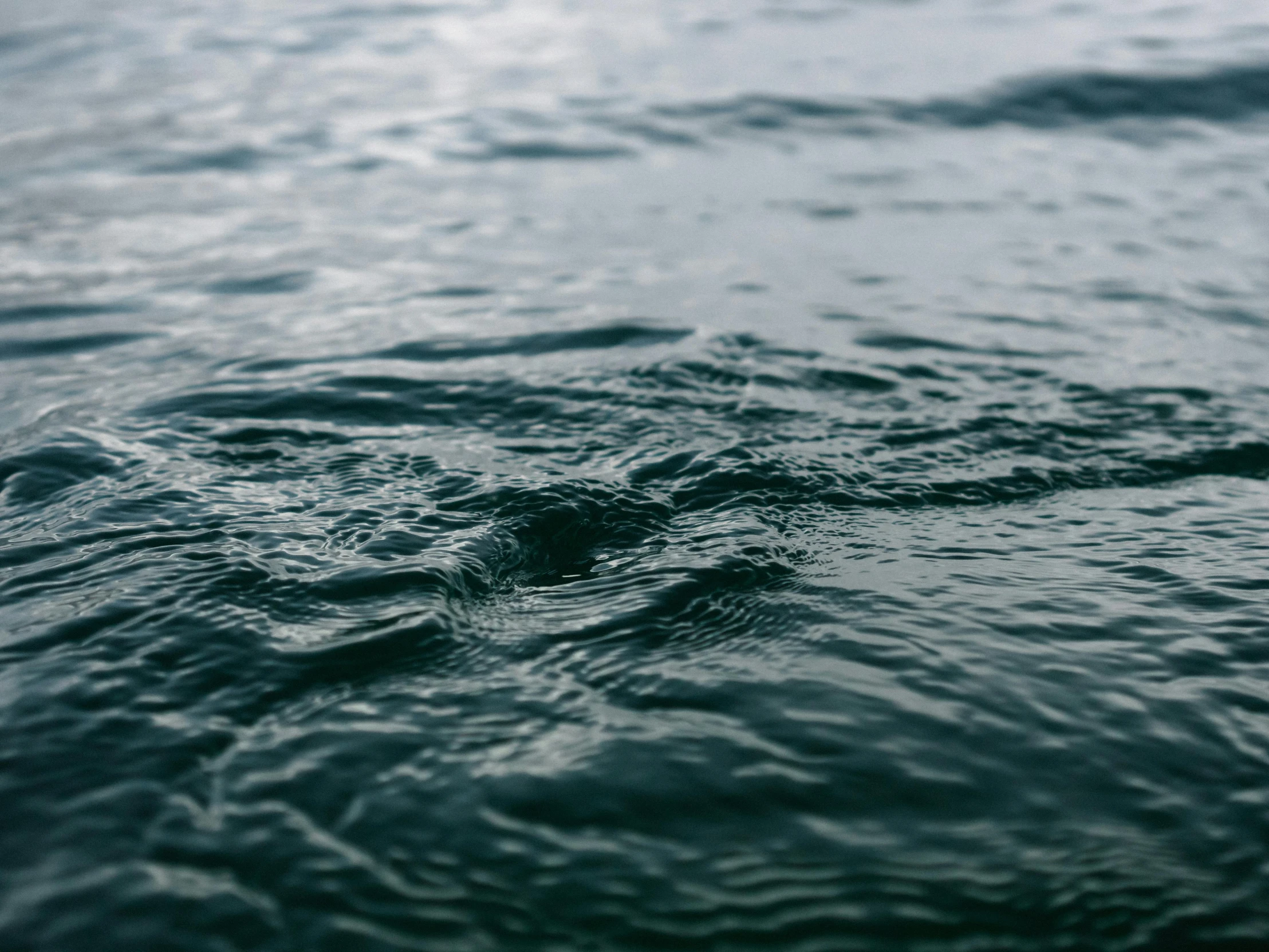 a close up of a body of water, unsplash, hurufiyya, concerned, conor walton, made of water, slight overcast