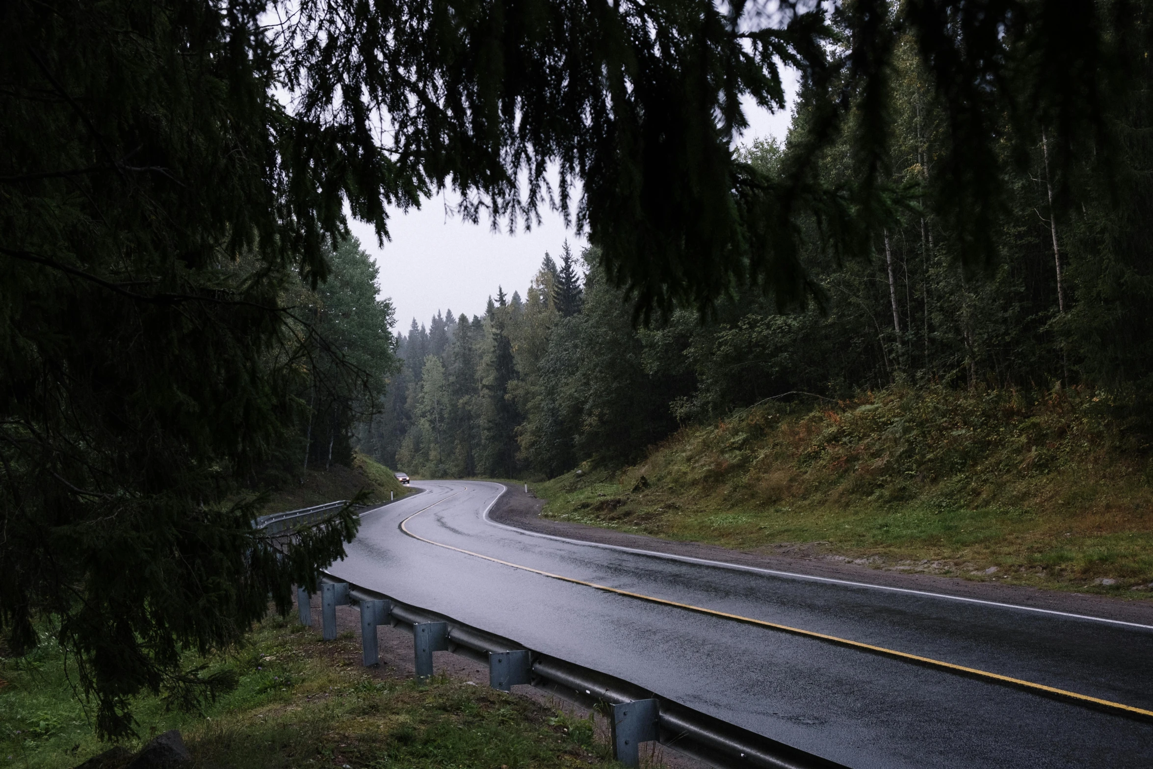 a wet road in the middle of a forest, flat curves, gray sky, minna sundberg, fan favorite