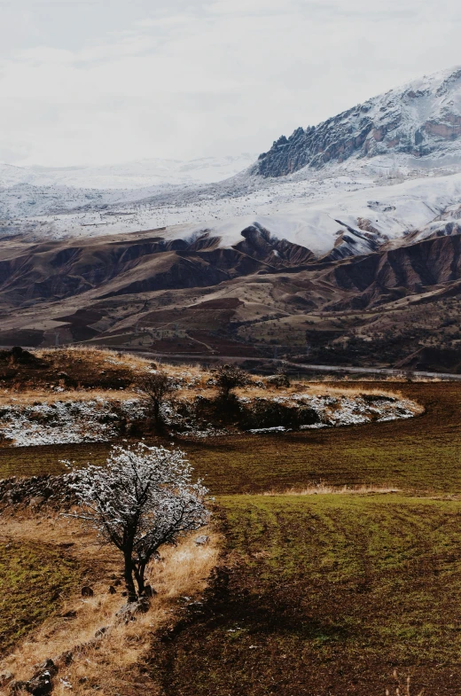 a lone tree in a field with a mountain in the background, by Muggur, unsplash contest winner, land art, snowy craggy sharp mountains, terraced orchards and ponds, panorama, in a valley