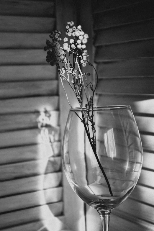 a black and white photo of flowers in a wine glass, windows and walls :5, glassware, evening sun, made of glass