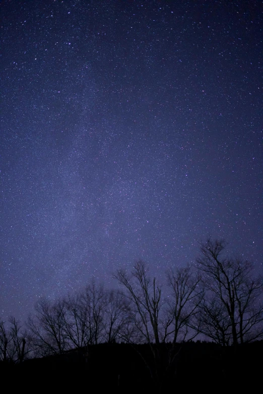 a night sky with stars and trees in the foreground, by Robert Storm Petersen, william penn state forest, february), high quality image, dark purple sky