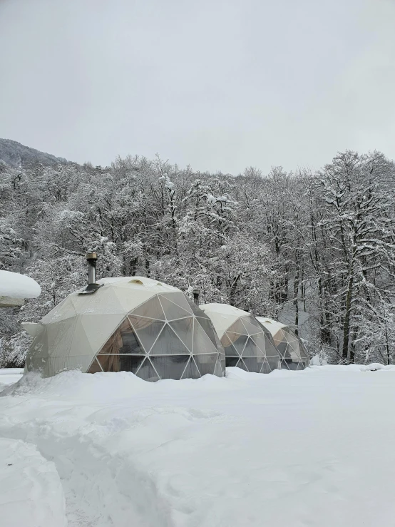 a group of domes sitting on top of a snow covered slope, cozy room, lush surroundings, profile image, greenhouse