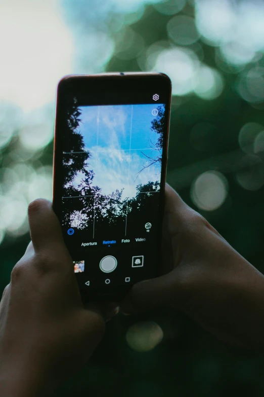 a person taking a picture with their cell phone, a picture, pexels contest winner, against the backdrop of trees, technology, bright and moody, android close to camera