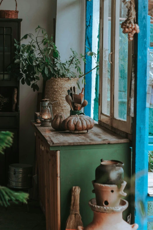 a potted plant sitting on top of a table next to a window, a still life, inspired by Riad Beyrouti, pexels contest winner, gourds, wooden cabinet, green and blue and warm theme, storefront