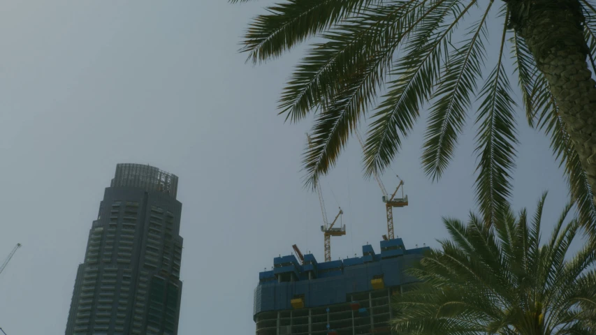 a tall building under construction next to a palm tree, pexels contest winner, hurufiyya, two towers, low quality photo, very hazy, 2000s photo