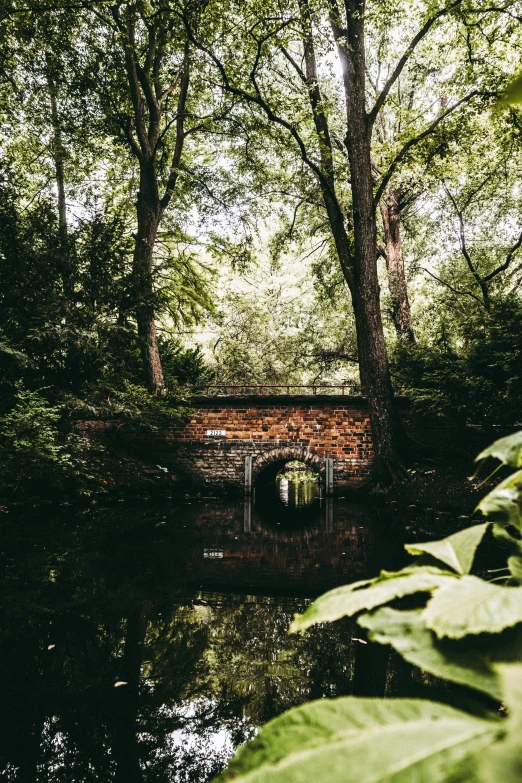 a bridge over a body of water surrounded by trees, a picture, by Sebastian Spreng, romanticism, full frame image, grotto, kreuzberg, instagram photo