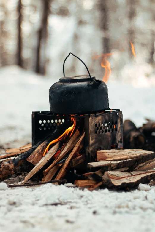 a kettle sitting on top of a fire in the snow, holding a burning wood piece, multiple stories, black, birch