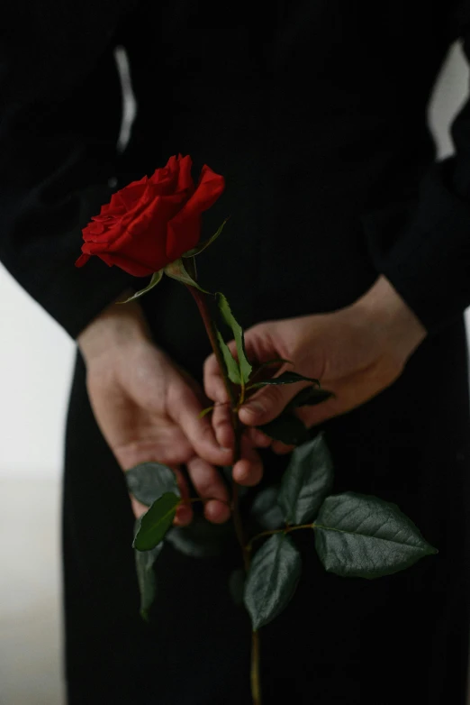 a woman in a black dress holding a red rose, unsplash, holding hands, rip, multiple stories, islamic