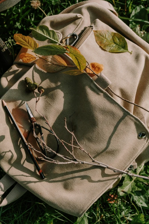 a backpack sitting on top of a lush green field, trending on pexels, visual art, magnolia leaves and stems, beige colors, flatlay, autum