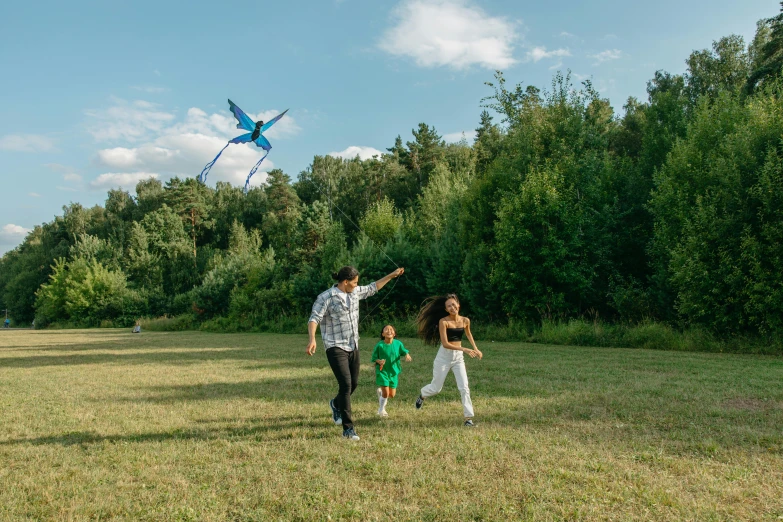 a man and two children flying a kite in a field, by Julia Pishtar, kinetic art, shot on sony a 7 iii, avatar image, high quality upload, pterosaurs flying