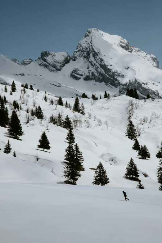 a man riding skis down a snow covered slope, by Peter Churcher, pexels contest winner, les nabis, trees in foreground, peaks, conde nast traveler photo, distant hooded figures