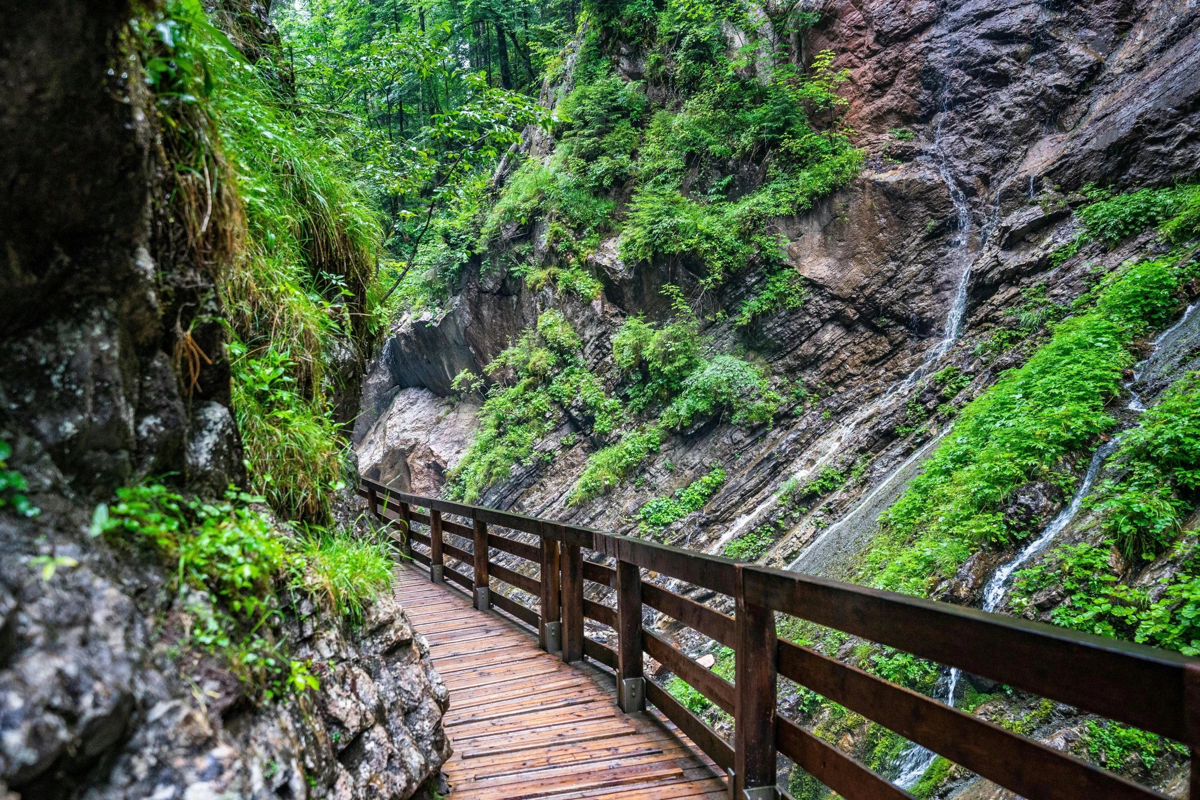 a wooden bridge with a waterfall in the background, a picture, by Maksimilijan Vanka, avatar image, hiking trail, inside a gorge, vacation photo