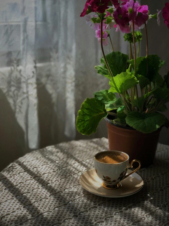 a potted plant sitting on top of a table next to a cup of coffee, a still life, inspired by Béni Ferenczy, unsplash, back lit, shot with sony alpha 1 camera, flowers around, medium format. soft light