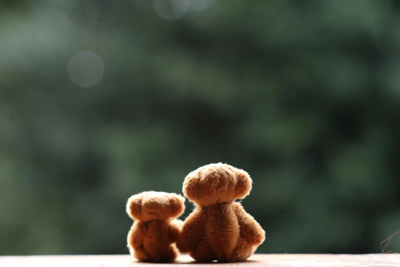 a couple of teddy bears sitting next to each other, a picture, by irakli nadar, unsplash, bokeh soft, brown, instagram post, without text