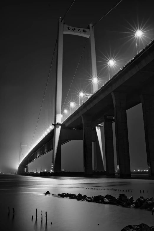 a bridge over a body of water at night, a black and white photo, by Holger Roed, 2 5 6 x 2 5 6, highway, hull, portrait of tall