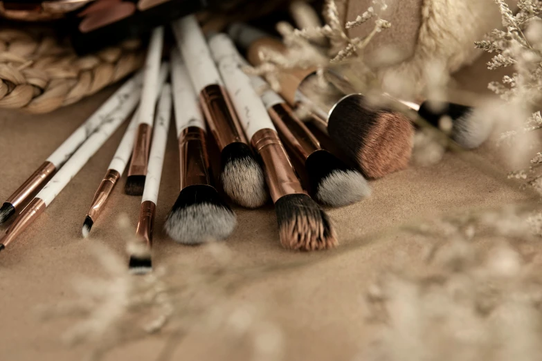 a bunch of brushes sitting on top of a table, by Julia Pishtar, trending on pexels, baroque, ivory and copper, natural make-up, animation, rustic