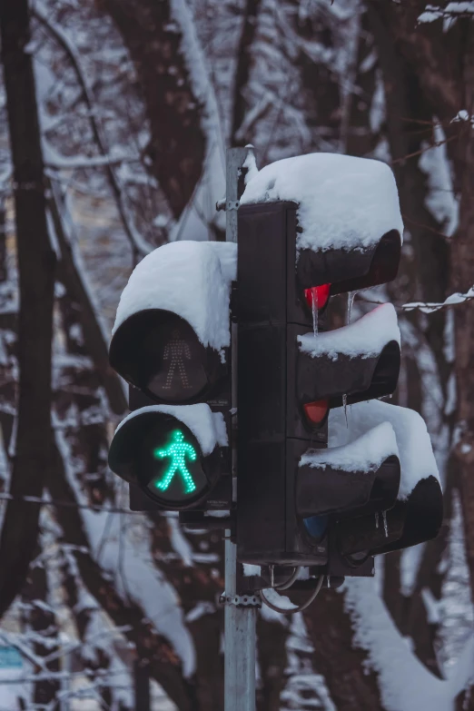 a traffic light covered in snow with trees in the background, a cartoon, by Adam Marczyński, trending on unsplash, neon green lava streets, stick figure, brown, sensors