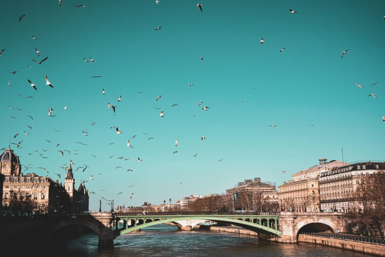 a flock of birds flying over a river next to a bridge, by Julia Pishtar, pexels contest winner, visual art, paris background, wes anderson background, teal sky, photograph of april