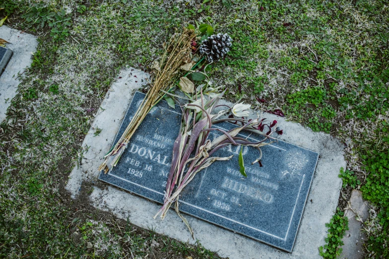 a grave with a bunch of flowers on top of it, an album cover, by Dorothy Bradford, unsplash, visual art, slate, ignant, dead plants, tourist photo