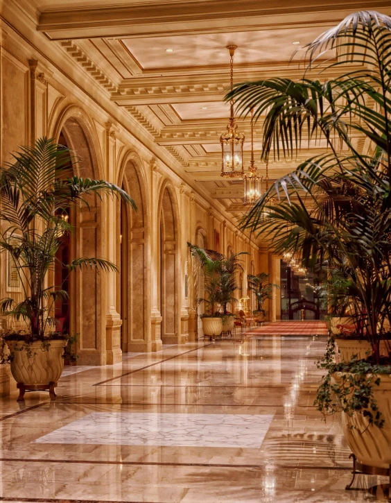 a long hallway with potted plants and a chandelier, inspired by Kurt Wenner, unsplash contest winner, background of a golden ballroom, profile image, san francisco, exterior photo