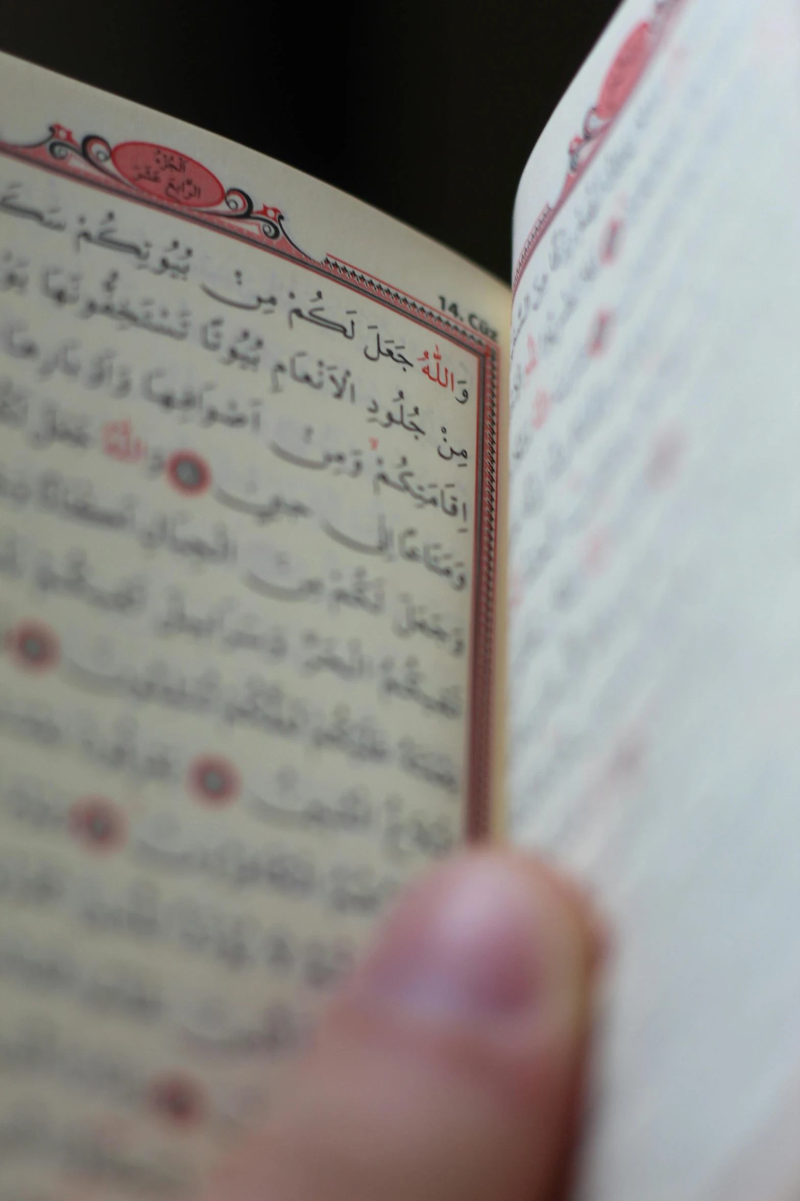 a close up of a person holding a book, hurufiyya, reuters, pray, thumbnail, large shot