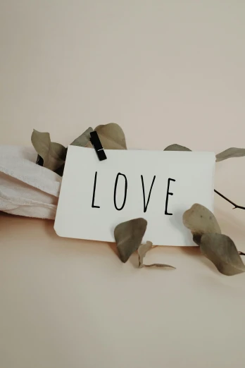 a piece of paper with the word love written on it, unsplash, eucalyptus, soft vinyl, indoor picture, white