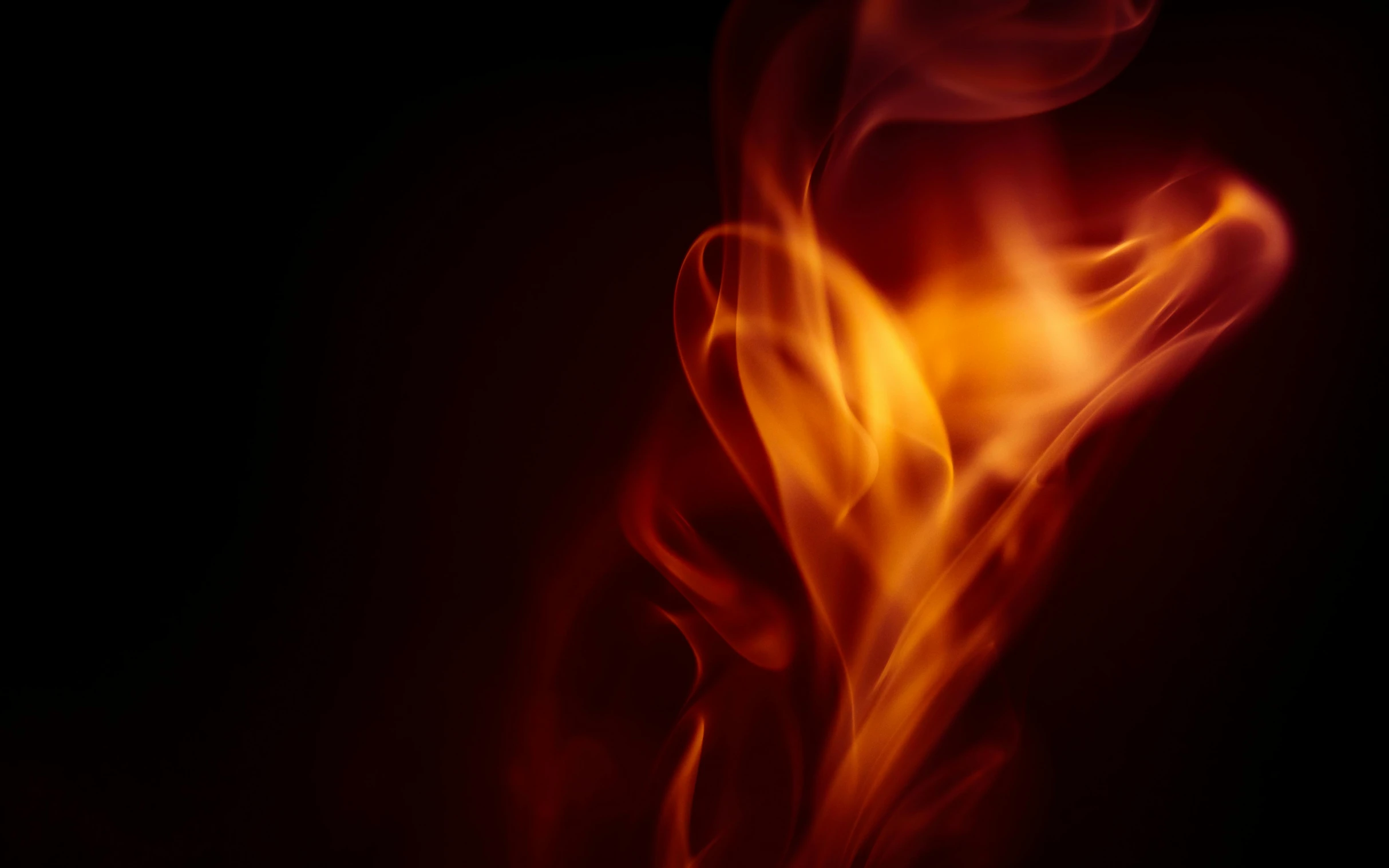 a close up of a flame on a black background, pexels, red haze, instagram post, swoosh, cooked