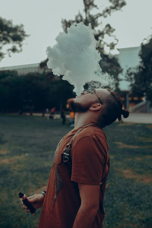 a man standing on top of a lush green field, pexels contest winner, aestheticism, smoking a magical bong, buildings and smoke, profile pic, at a park